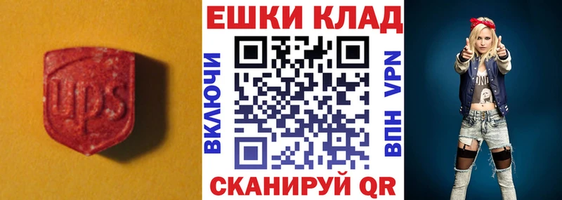 Купить  Терек  ЭКСТАЗИ Дубай 