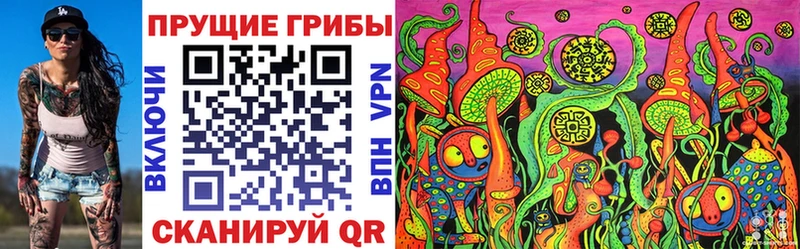 Галлюциногенные грибы GOLDEN TEACHER  Купить  Терек 